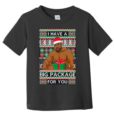 Funny I Have A Big Package For You Ugly Christmas Sweater Toddler T-Shirt