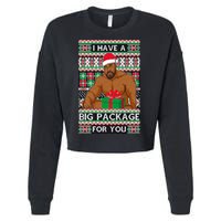 Funny I Have A Big Package For You Ugly Christmas Sweater Cropped Pullover Crew