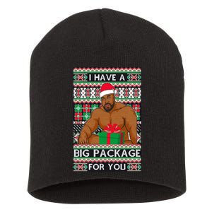 Funny I Have A Big Package For You Ugly Christmas Sweater Short Acrylic Beanie