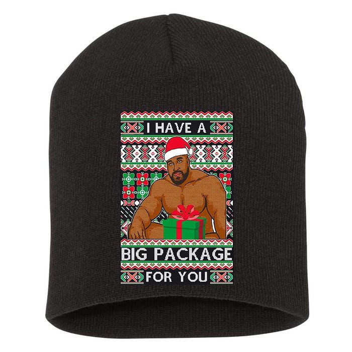 Funny I Have A Big Package For You Ugly Christmas Sweater Short Acrylic Beanie