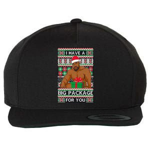 Funny I Have A Big Package For You Ugly Christmas Sweater Wool Snapback Cap