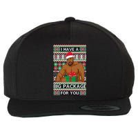 Funny I Have A Big Package For You Ugly Christmas Sweater Wool Snapback Cap