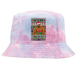 Funny I Have A Big Package For You Ugly Christmas Sweater Tie-Dyed Bucket Hat