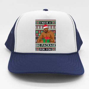 Funny I Have A Big Package For You Ugly Christmas Sweater Trucker Hat