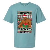 Funny I Have A Big Package For You Ugly Christmas Sweater Sueded Cloud Jersey T-Shirt