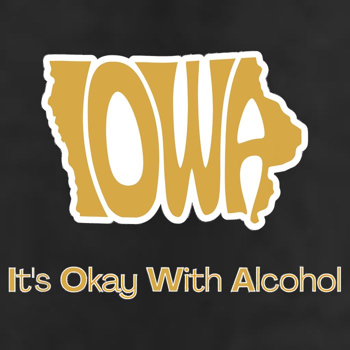 Funny Iowa Its Okay With Alcohol Iowa Joke Gift Hat
