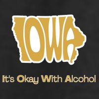 Funny Iowa Its Okay With Alcohol Iowa Joke Gift 7 Panel Mesh Trucker Snapback Hat