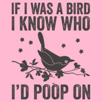 Funny If I Was A Bird I Know Who I'd Poop On Mousepad