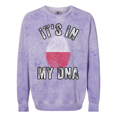 Funny ItS In My Dna Poland Flag Fingerprint Colorblast Crewneck Sweatshirt