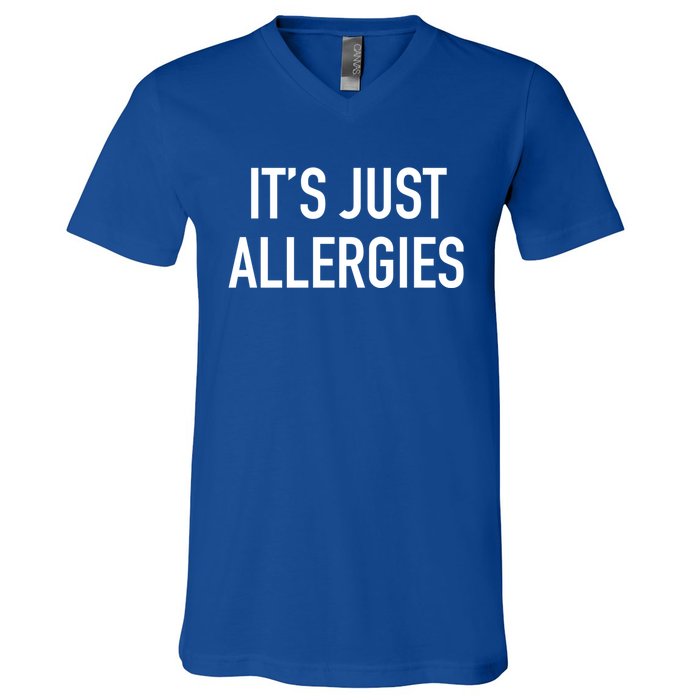 Funny It's Just Allergies Gift V-Neck T-Shirt