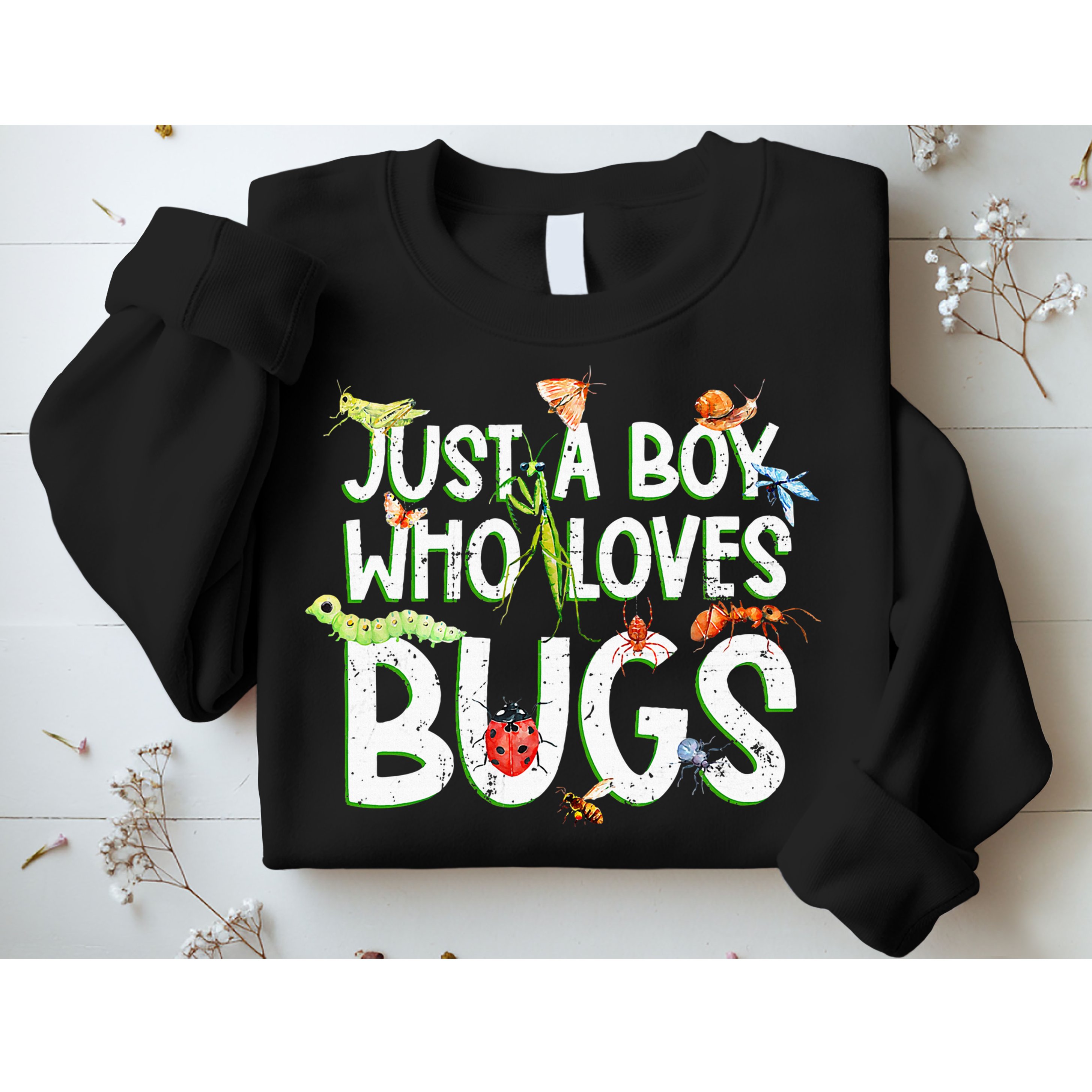 Funny Insect Just A Boy Who Loves Bug Sweatshirt