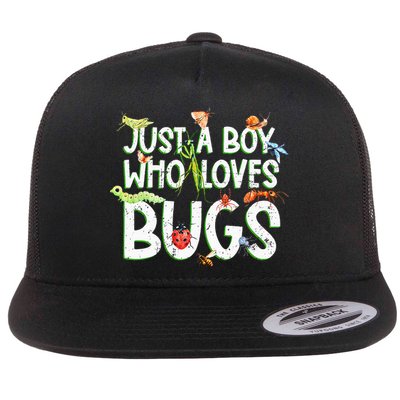 Funny Insect Just A Boy Who Loves Bug Flatbill Hat