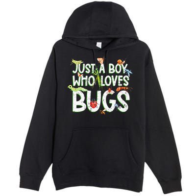 Funny Insect Just A Boy Who Loves Bug Premium Pullover Hoodie
