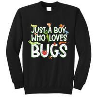 Funny Insect Just A Boy Who Loves Bug Tall Sweatshirt