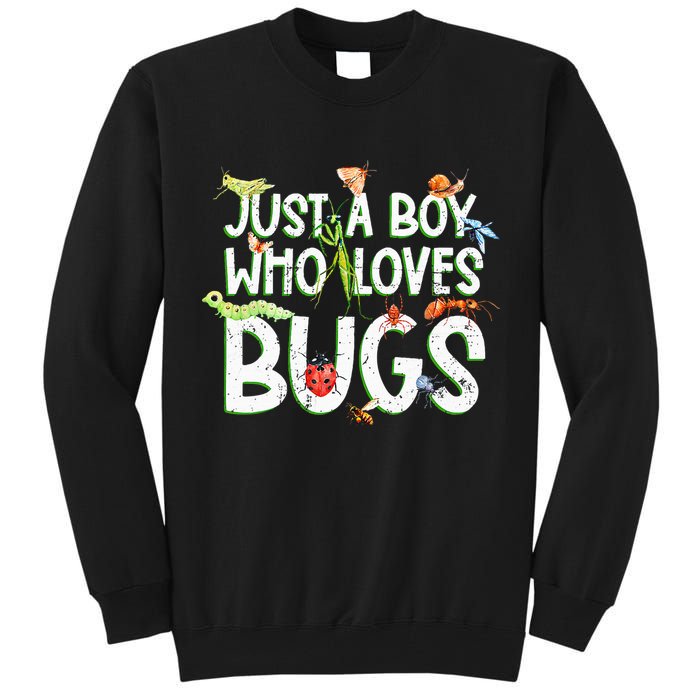 Funny Insect Just A Boy Who Loves Bug Tall Sweatshirt