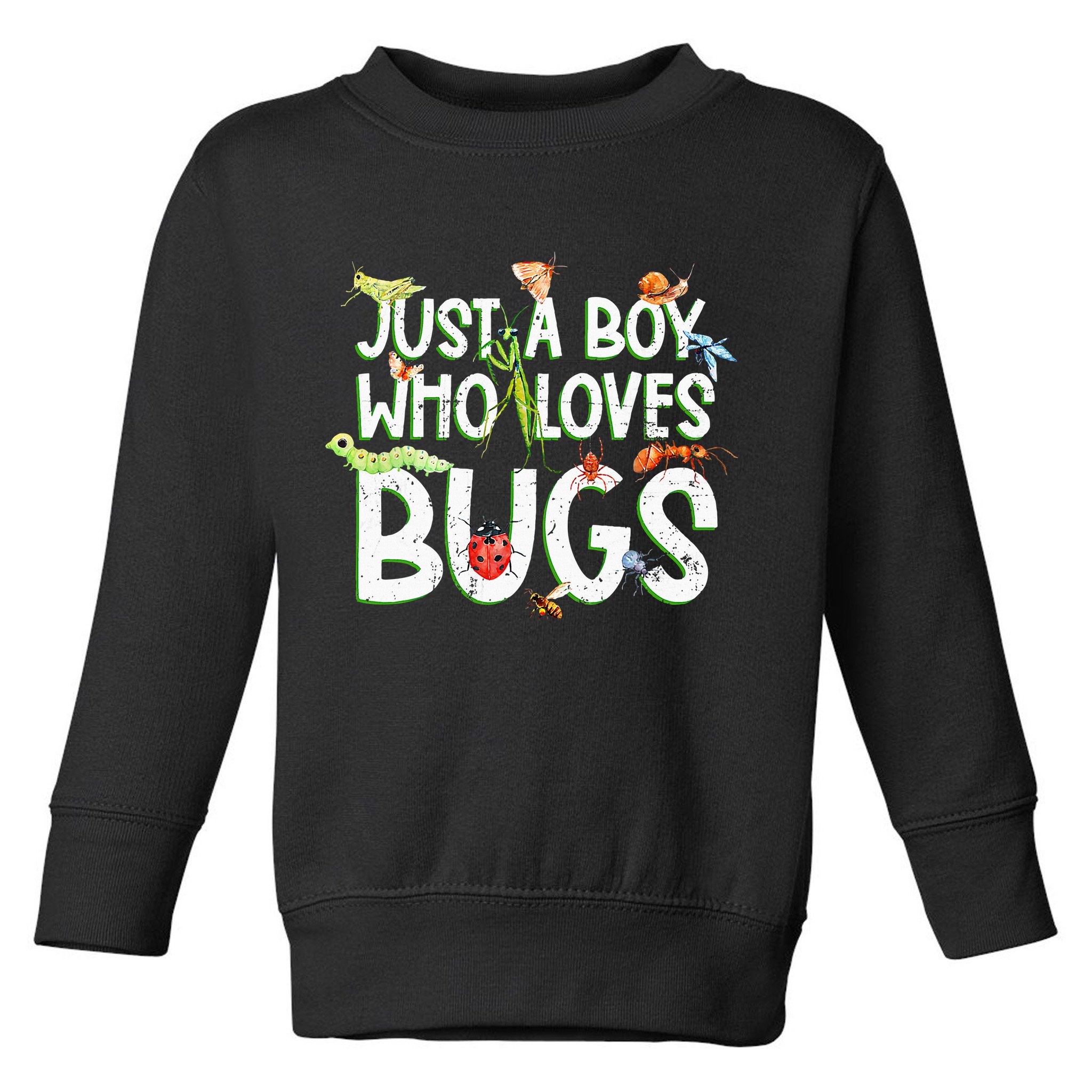 Funny Insect Just A Boy Who Loves Bug Toddler Sweatshirt
