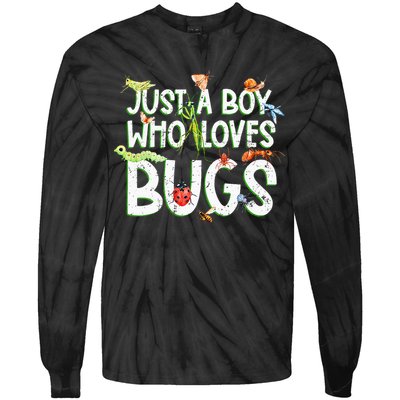 Funny Insect Just A Boy Who Loves Bug Tie-Dye Long Sleeve Shirt