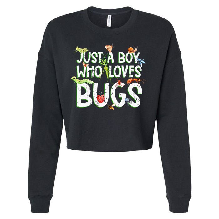 Funny Insect Just A Boy Who Loves Bug Cropped Pullover Crew