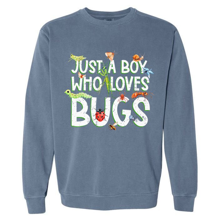 Funny Insect Just A Boy Who Loves Bug Garment-Dyed Sweatshirt