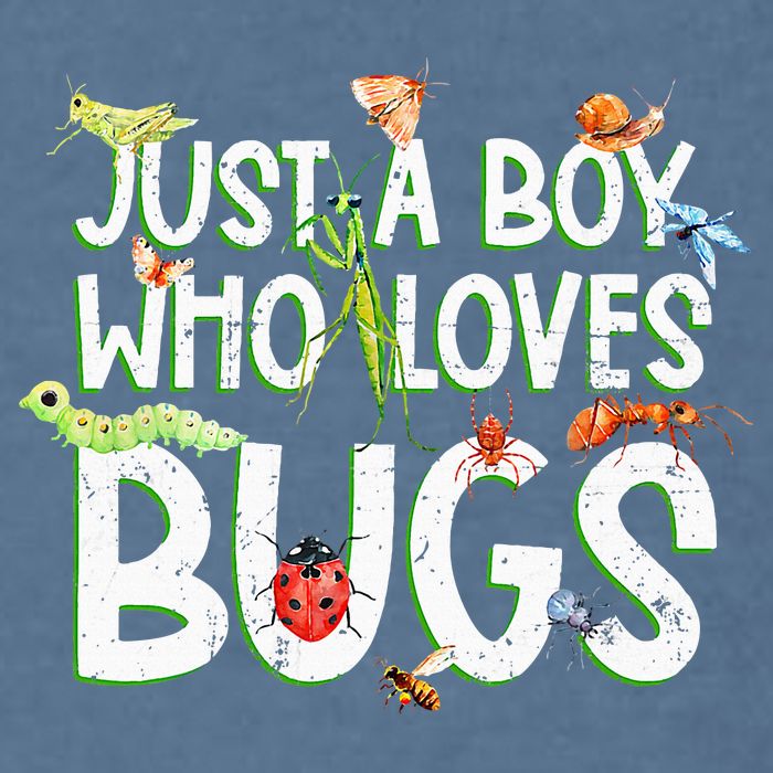Funny Insect Just A Boy Who Loves Bug Garment-Dyed Sweatshirt
