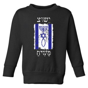 Faith In Jesus Christ Promised Messiah With Israel Flag Toddler Sweatshirt