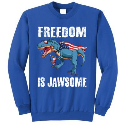 Freedom Is Jawsome 4th Of July Dinosaur Teens Gift Tall Sweatshirt