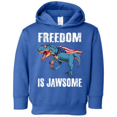 Freedom Is Jawsome 4th Of July Dinosaur Teens Gift Toddler Hoodie