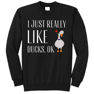 Funny I Just Really Like Ducks Lover Gifts Duck Owner Gift Sweatshirt