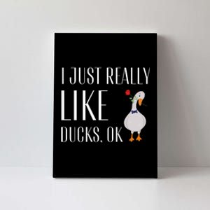 Funny I Just Really Like Ducks Lover Gifts Duck Owner Gift Canvas