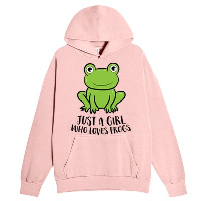 Frog I Just Really Like Frogs Funny Frog Lovers Gift Urban Pullover Hoodie