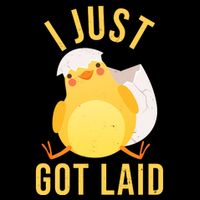 Funny I Just Got Laid Chick Stripe Pom Pom Beanie