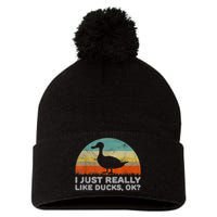 Funny I Just Really Like Ducks OK Pom Pom 12in Knit Beanie