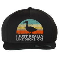 Funny I Just Really Like Ducks OK Wool Snapback Cap