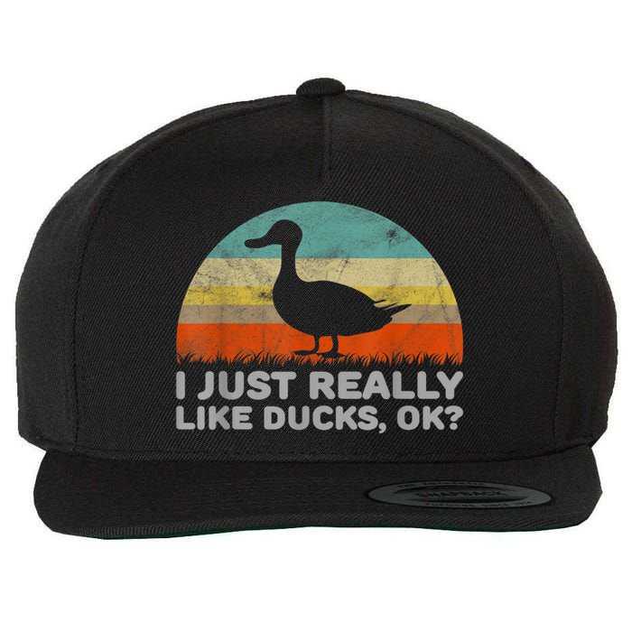 Funny I Just Really Like Ducks OK Wool Snapback Cap