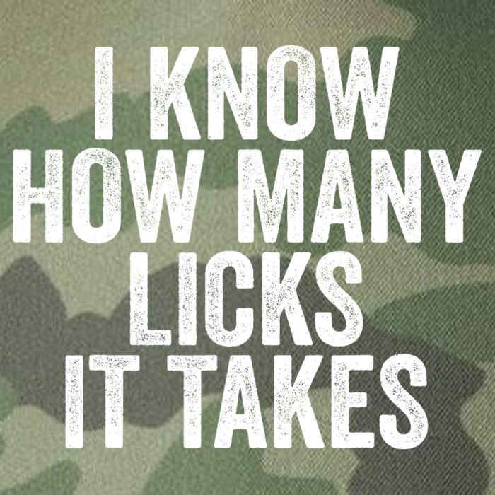 Funny I Know How Many Licks It Takes Legacy Tie Dye Trucker Hat