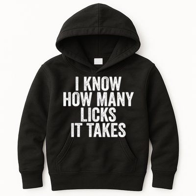 Funny I Know How Many Licks It Takes Kids Hoodie