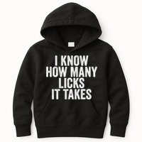 Funny I Know How Many Licks It Takes Kids Hoodie