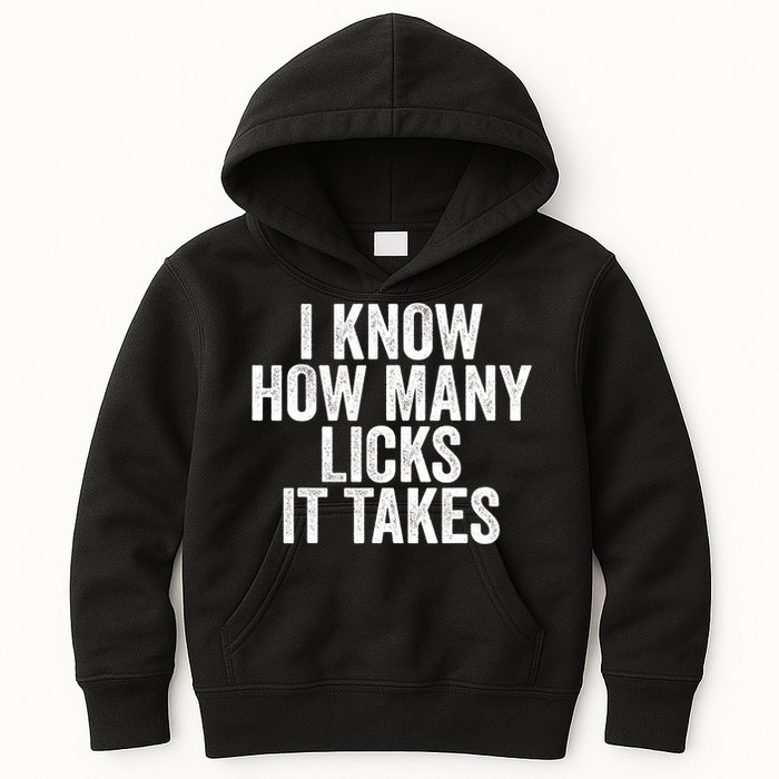 Funny I Know How Many Licks It Takes Kids Hoodie