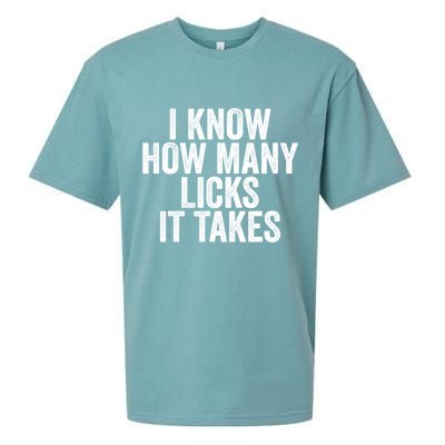 Funny I Know How Many Licks It Takes Sueded Cloud Jersey T-Shirt