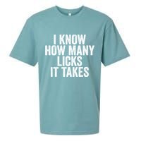 Funny I Know How Many Licks It Takes Sueded Cloud Jersey T-Shirt