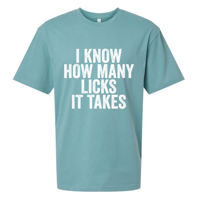 Funny I Know How Many Licks It Takes Sueded Cloud Jersey T-Shirt