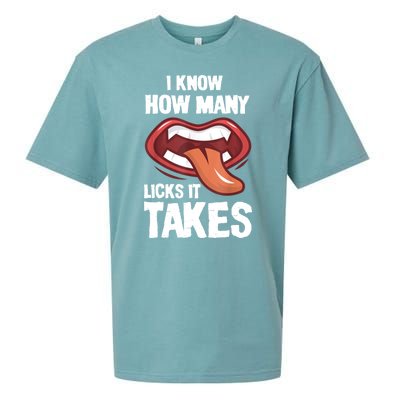 Funny I Know How Many Licks It Takes Sueded Cloud Jersey T-Shirt