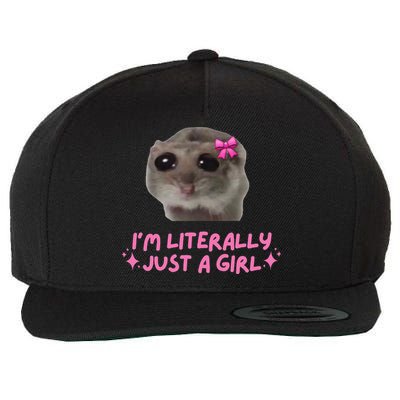 Funny IM Literally Just A Girl Sad Hamster Meme Gift Wool Snapback Cap