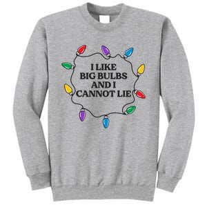 Funny I Like Big Bulbs And I Cannot Lie Christmas Meaningful Gift Sweatshirt