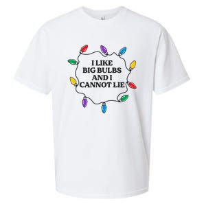 Funny I Like Big Bulbs And I Cannot Lie Christmas Meaningful Gift Sueded Cloud Jersey T-Shirt