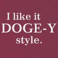 Funny I Like It Doge Y Style Design 16oz Travel Tumbler