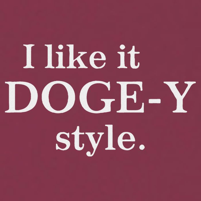 Funny I Like It Doge Y Style Design 16oz Travel Tumbler