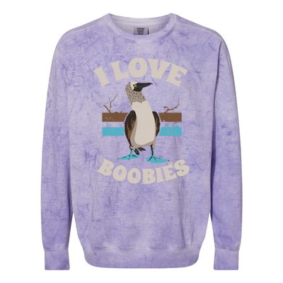 Funny I Love Boobies Gift For Birdwatchers Colorblast Crewneck Sweatshirt