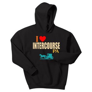 Funny I Love Intercourse Pa Apparel Kids Hoodie