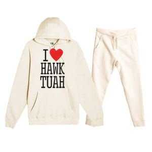 Funny I Love Hawk Tuah Heart Guy Spit Joke Wet That Thang Premium Hooded Sweatsuit Set